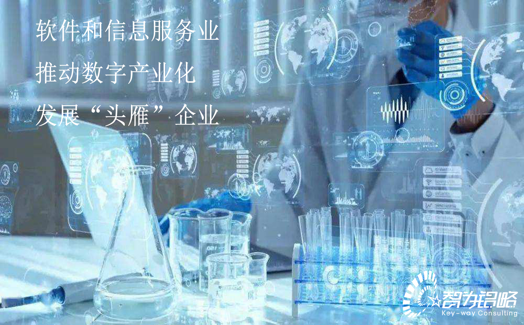 蘇州市軟件和信息服務(wù)業(yè)推動(dòng)數(shù)字產(chǎn)業(yè)化發(fā)展“頭雁”企業(yè)評(píng)估指引(試行)