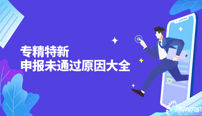 1703122307233971.jpg 專精特新申報(bào)未通過(guò)原因大全.jpg