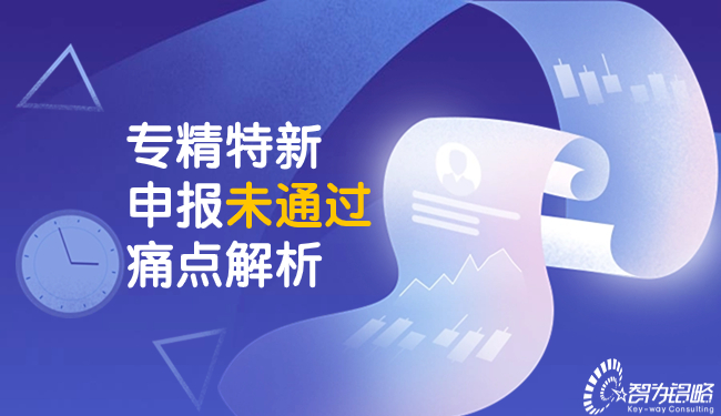 1703212048288243.jpg 專精特新申報(bào)未通過痛點(diǎn)解析.jpg