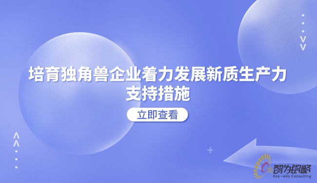 1719385522212579.jpg 培育獨角獸企業(yè)著力發(fā)展新質(zhì)生產(chǎn)力的支持措施.jpg