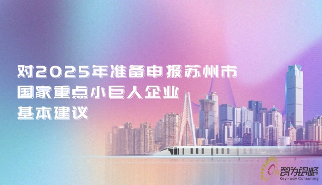 對2025年準(zhǔn)備申報蘇州市國家重點(diǎn)小巨人企業(yè)的基本建議.jpg