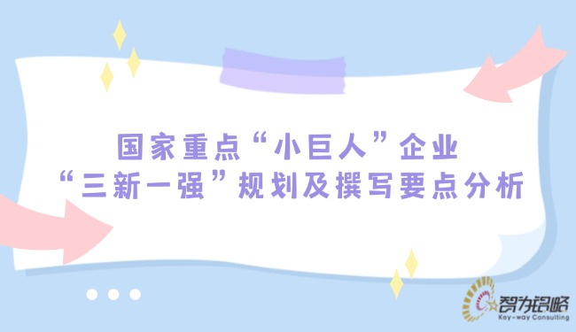 國家重點“小巨人”企業(yè)“三新一強”規(guī)劃及撰寫要點分析.jpg